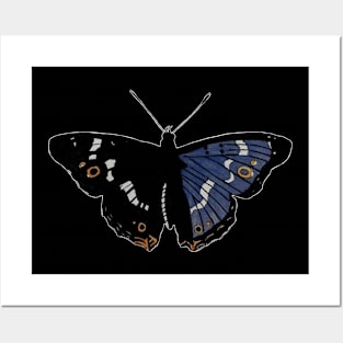 Butterfly 01a, transparent background Posters and Art